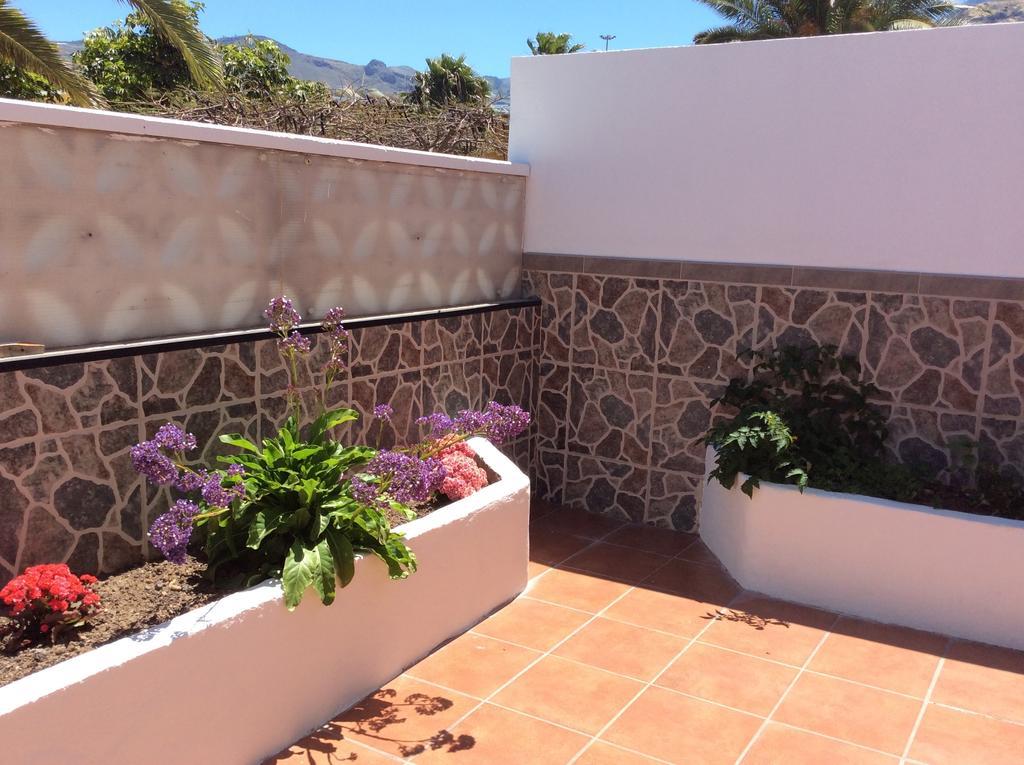 La Palmita De Canarias Agaete  Rum bild